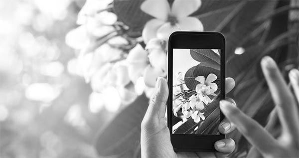 PlantSnap